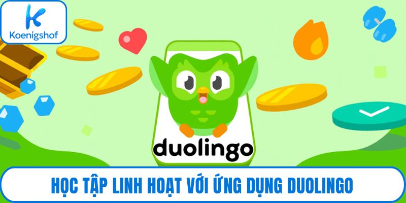 Học tập linh hoạt với ứng dụng Duolingo