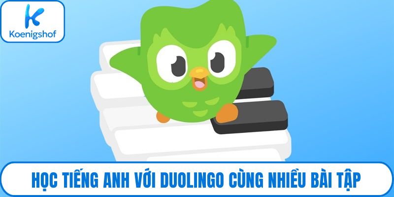 Học tiếng anh với Duolingo cùng nhiều bài tập