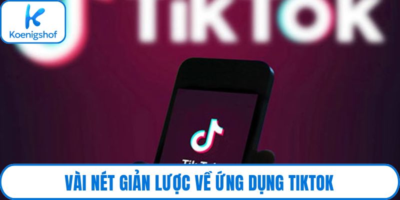 Vài nét giản lược về ứng dụng tiktok