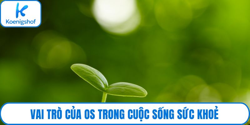 Vai trò của OS trong cuộc sống sức khoẻ